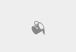 涂料级CMC